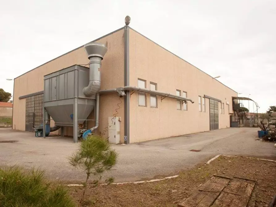 Immagine 1 di Capannone industriale in vendita  in loc. la torba a Capalbio