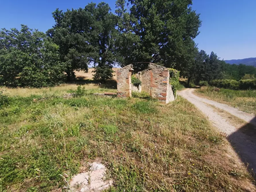 Immagine 10 di Rustico / casale in vendita  in PIAZZA DANTE ALIGHIERI a Scarperia E San Piero