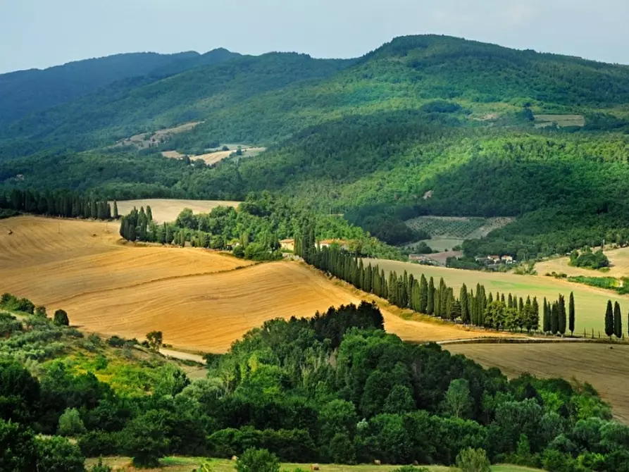 Immagine 1 di Casa colonica in vendita  in VIA MEUCCI a Barberino Di Mugello
