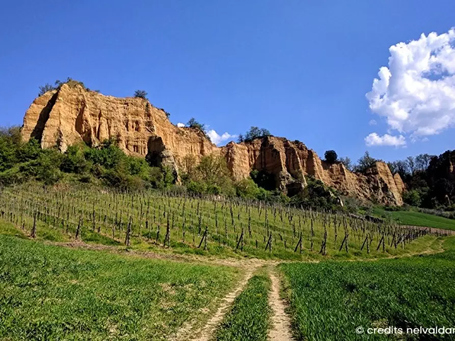 Immagine 3 di Terreno agricolo in vendita  in PIAZZA DANTE ALIGHIERI 54 a Borgo San Lorenzo