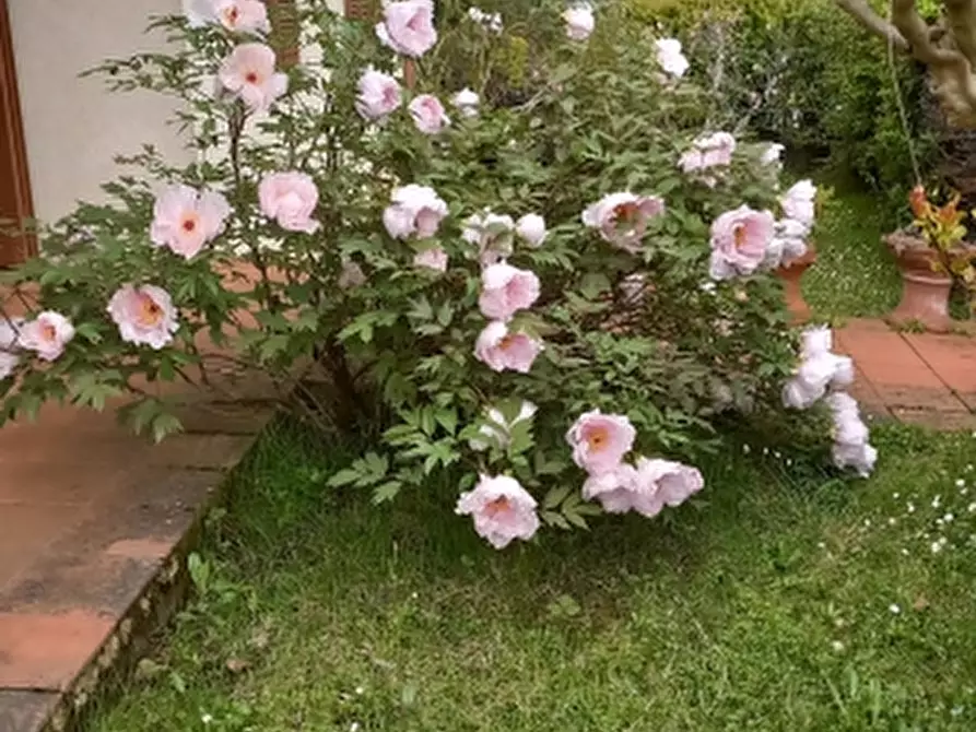 Immagine 3 di Villa in vendita  in VIALE KENNEDY 50038 a Borgo San Lorenzo