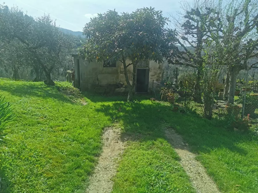 Immagine 7 di Casa colonica in vendita  in VIA ROMA a Rufina