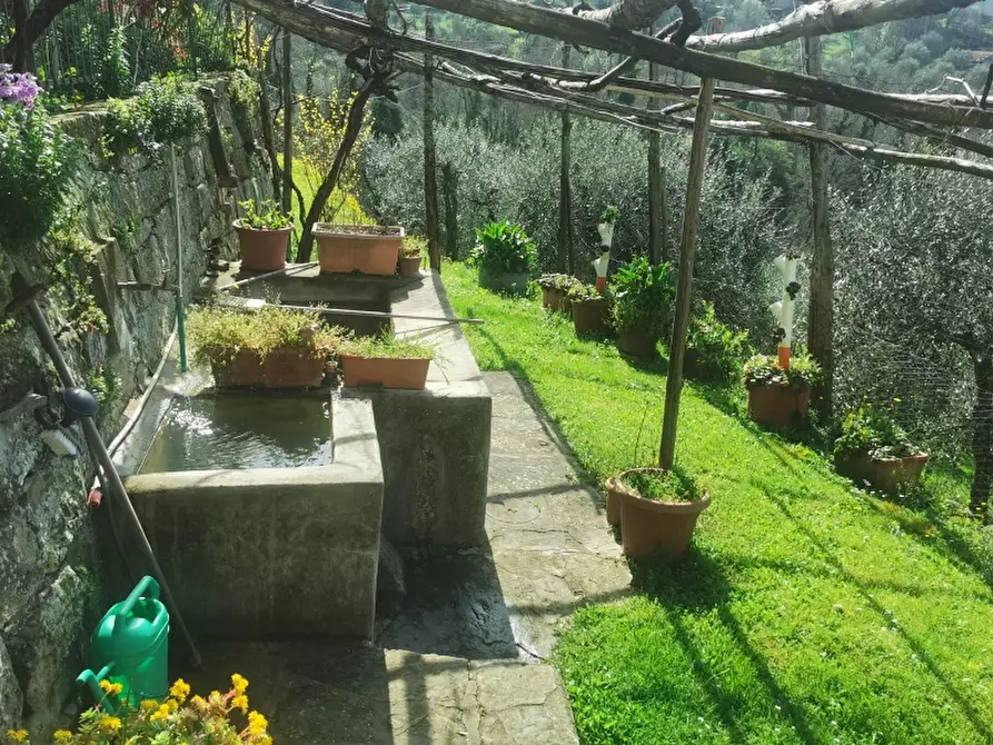 Immagine 6 di Casa colonica in vendita  in VIA ROMA a Rufina