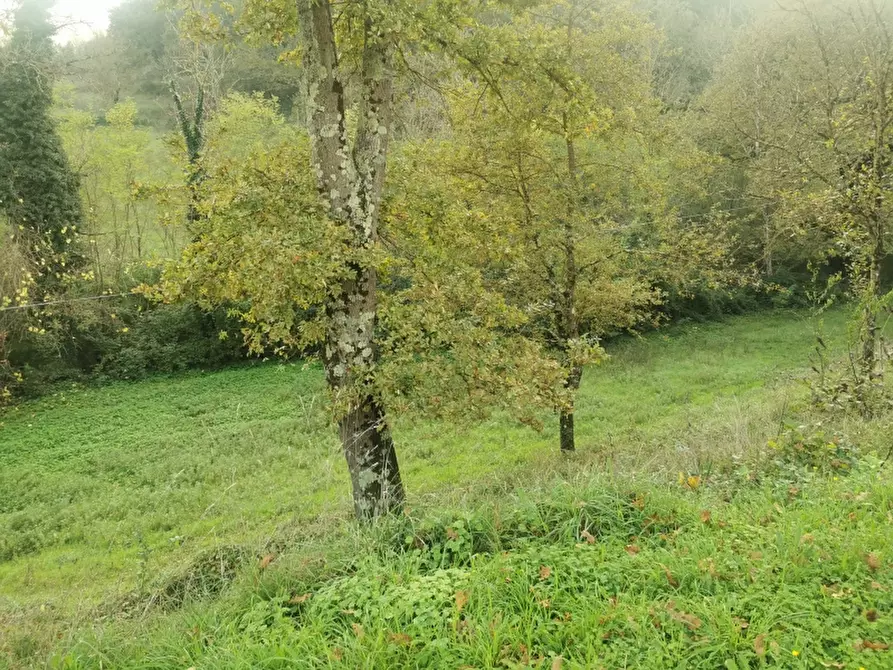 Immagine 1 di Appartamento in vendita  in SAGGINALE a Vicchio