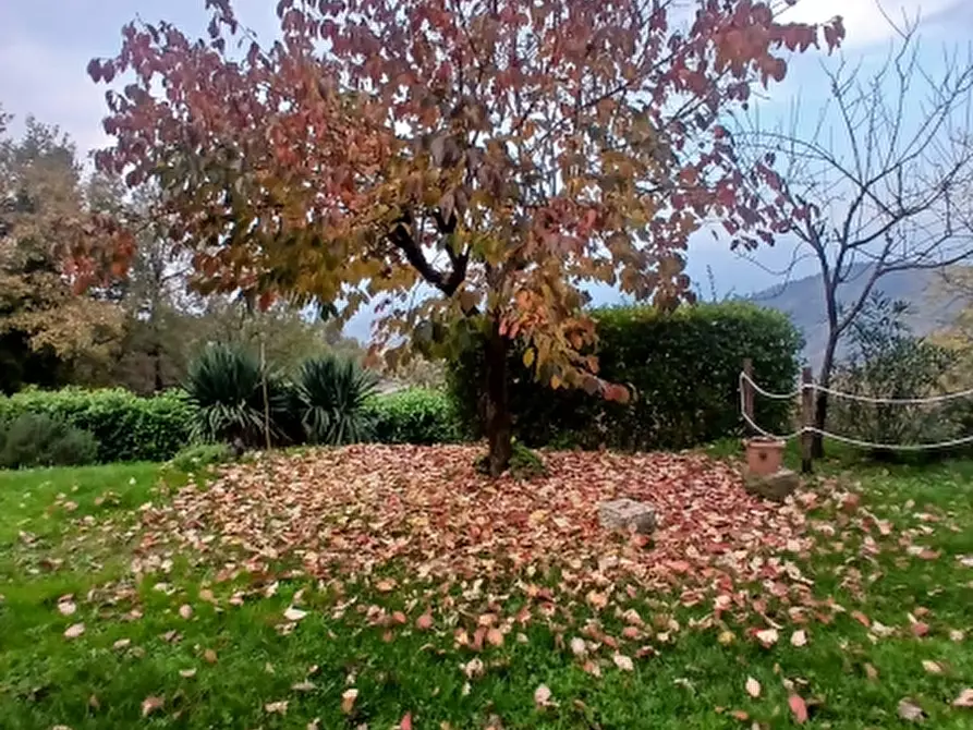Immagine 2 di Casa colonica in vendita  in PIAZZA DANTE ALIGHIERI a Borgo San Lorenzo