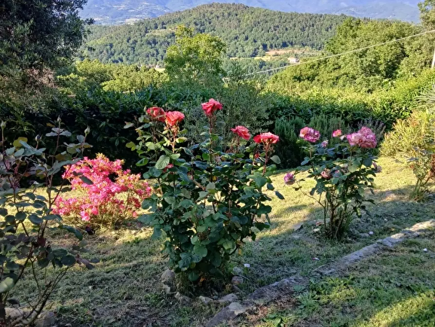 Immagine 21 di Casa colonica in vendita  in PIAZZA DANTE ALIGHIERI a Borgo San Lorenzo