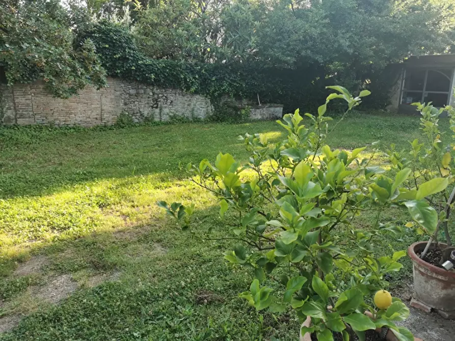 Immagine 7 di Rustico / casale in vendita  in VIA ROMA 50038 a Scarperia E San Piero