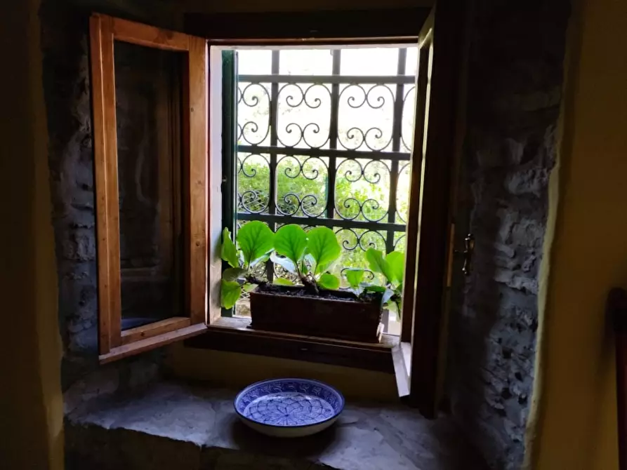 Immagine 13 di Terratetto in vendita  in PIAZZA DANTE ALIGHIERI a Londa