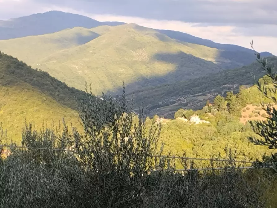 Immagine 14 di Terratetto in vendita  in PIAZZA DANTE ALIGHIERI a Londa