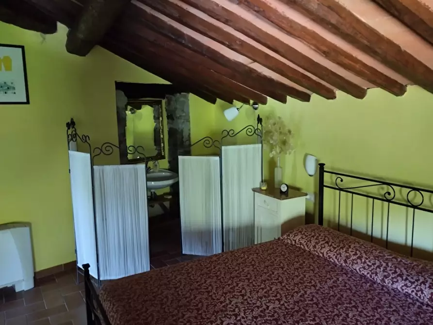 Immagine 17 di Terratetto in vendita  in PIAZZA DANTE ALIGHIERI a Londa