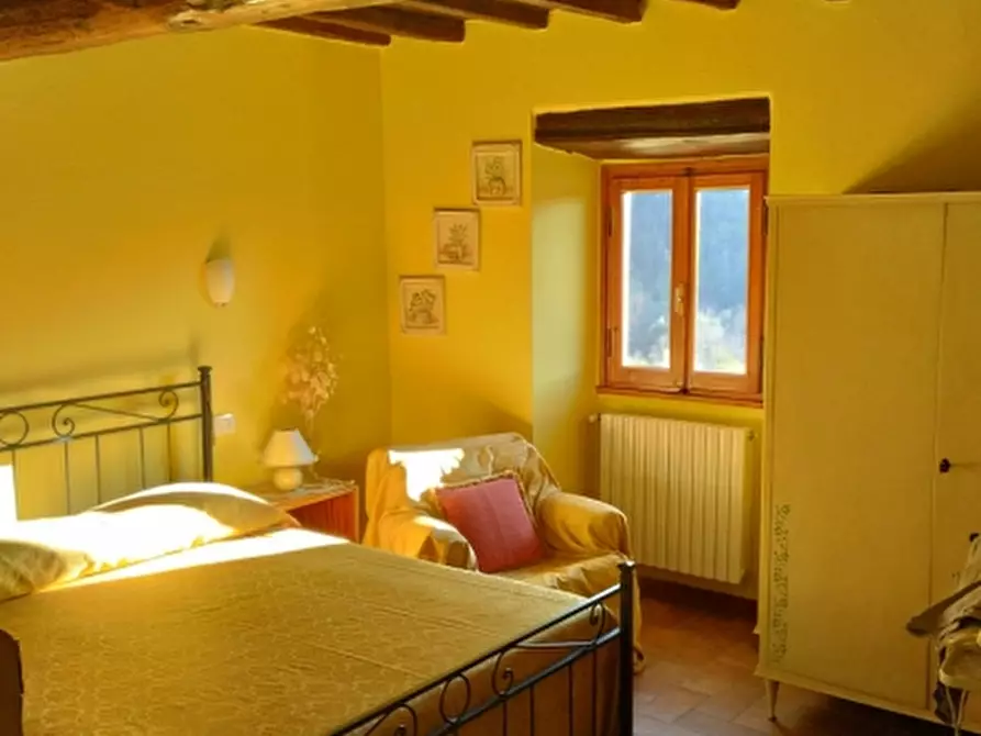 Immagine 9 di Terratetto in vendita  in PIAZZA DANTE ALIGHIERI a Londa