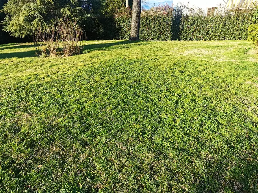 Immagine 3 di Villa in vendita  in PIAZZA DANTE ALIGHIERI a Borgo San Lorenzo