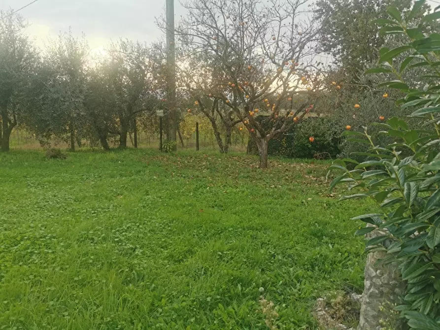 Immagine 11 di Terratetto in vendita  in PIAZZA DANTE ALIGHIERI a Borgo San Lorenzo