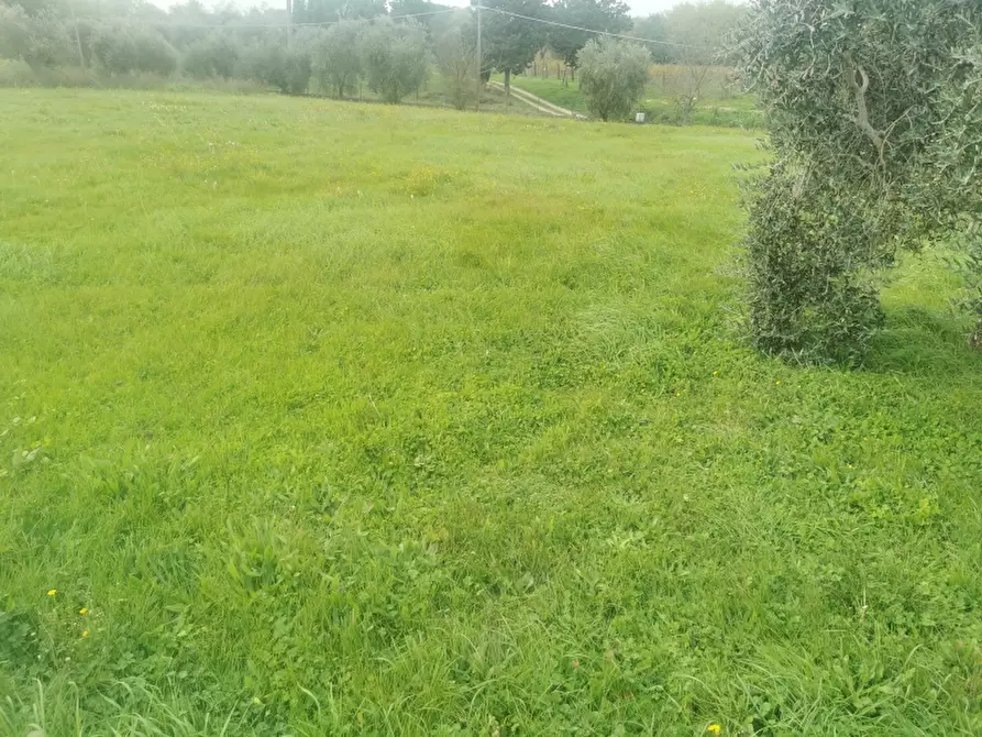 Immagine 9 di Terratetto in vendita  in PIAZZA DANTE ALIGHIERI a Borgo San Lorenzo