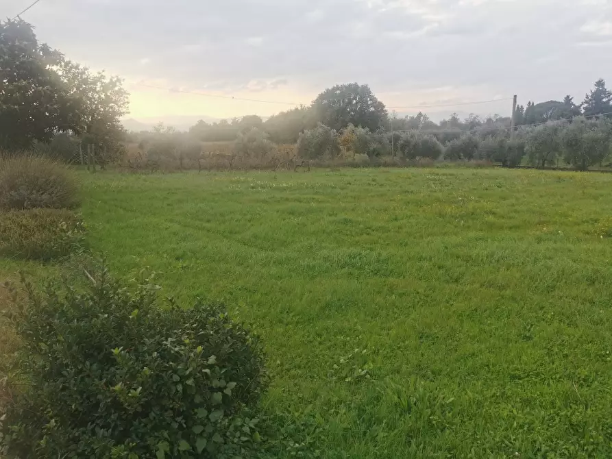 Immagine 10 di Terratetto in vendita  in PIAZZA DANTE ALIGHIERI a Borgo San Lorenzo