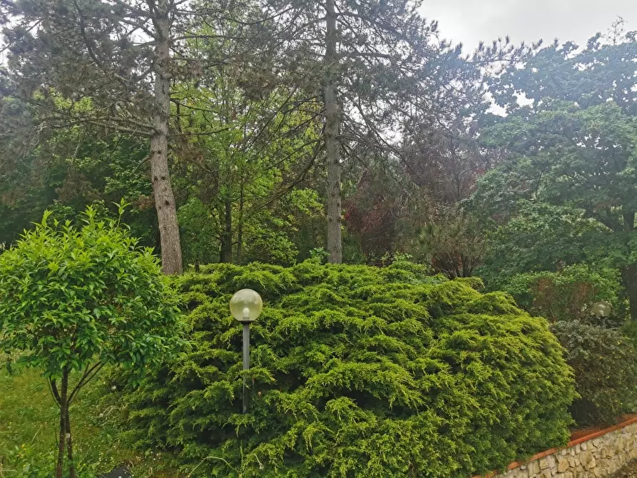 Immagine 24 di Villa in vendita  in PIAZZA DANTE ALIGHIERI a Borgo San Lorenzo