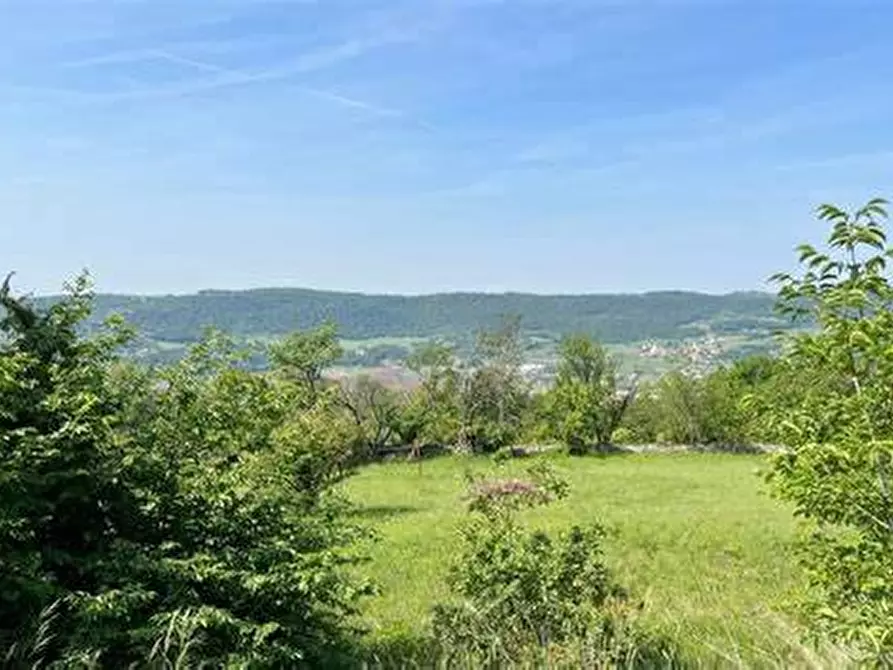 Immagine 2 di Terreno agricolo in vendita  in PIAZZA DANTE ALIGHIERI a Borgo San Lorenzo