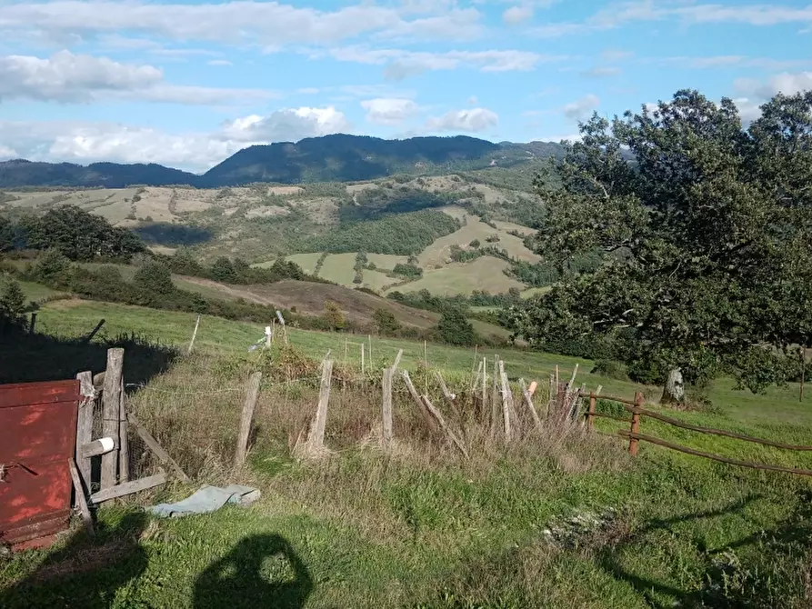 Immagine 1 di Azienda agricola in vendita  in PIAZZA DANTE ALIGHIERI a Firenzuola