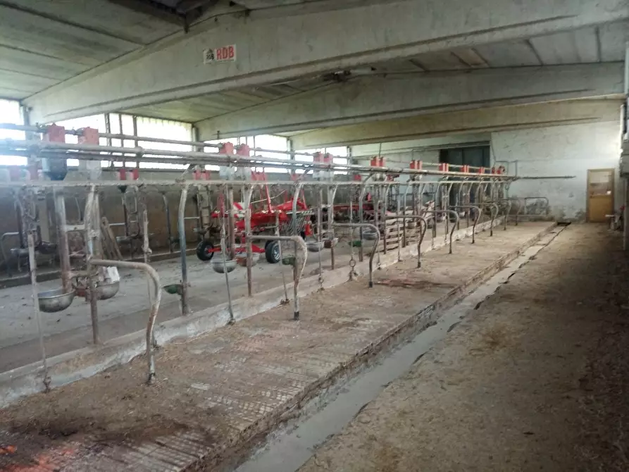 Immagine 3 di Azienda agricola in vendita  in PIAZZA DANTE ALIGHIERI a Firenzuola