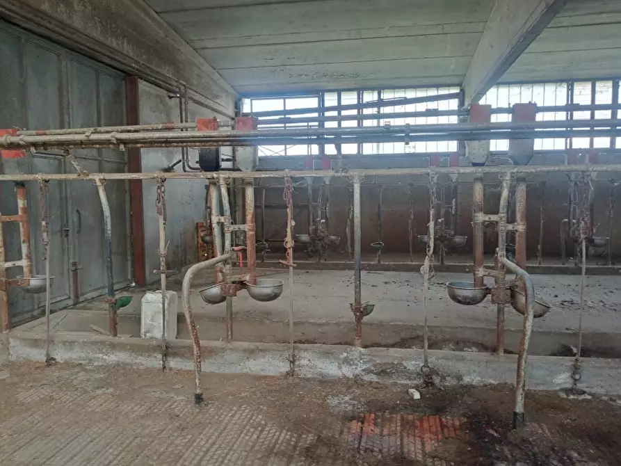 Immagine 5 di Azienda agricola in vendita  in PIAZZA DANTE ALIGHIERI a Firenzuola