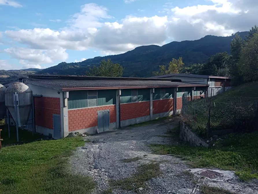 Immagine 6 di Azienda agricola in vendita  in PIAZZA DANTE ALIGHIERI a Firenzuola