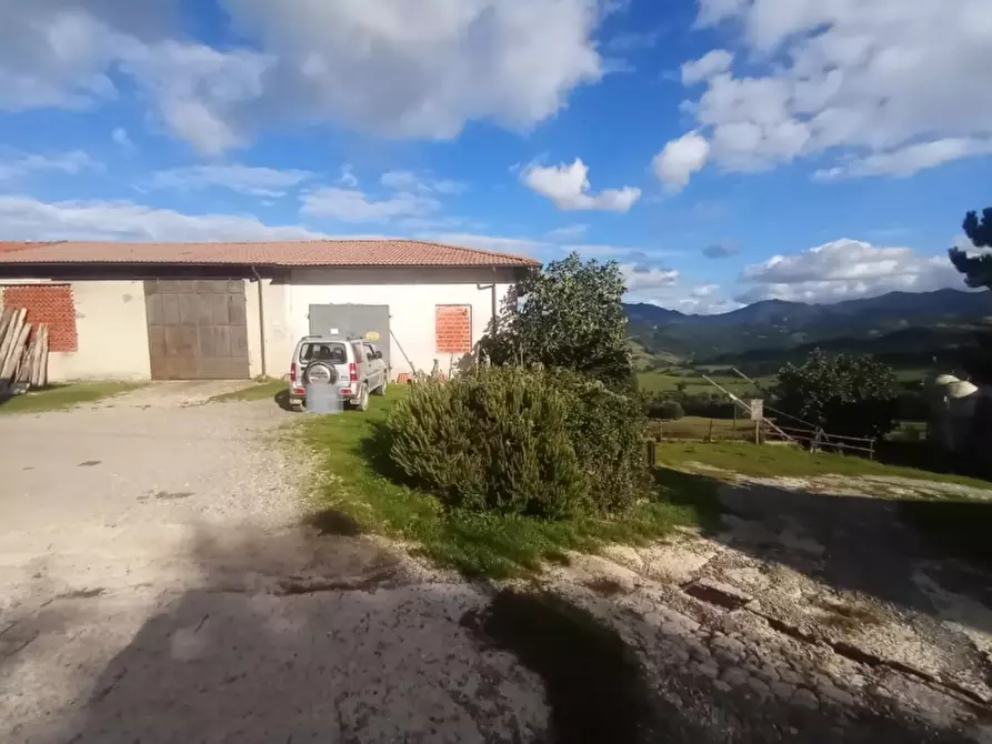 Immagine 7 di Azienda agricola in vendita  in PIAZZA DANTE ALIGHIERI a Firenzuola