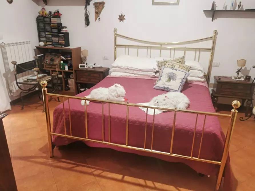 Immagine 4 di Appartamento in vendita  in VIA ROMA a Londa