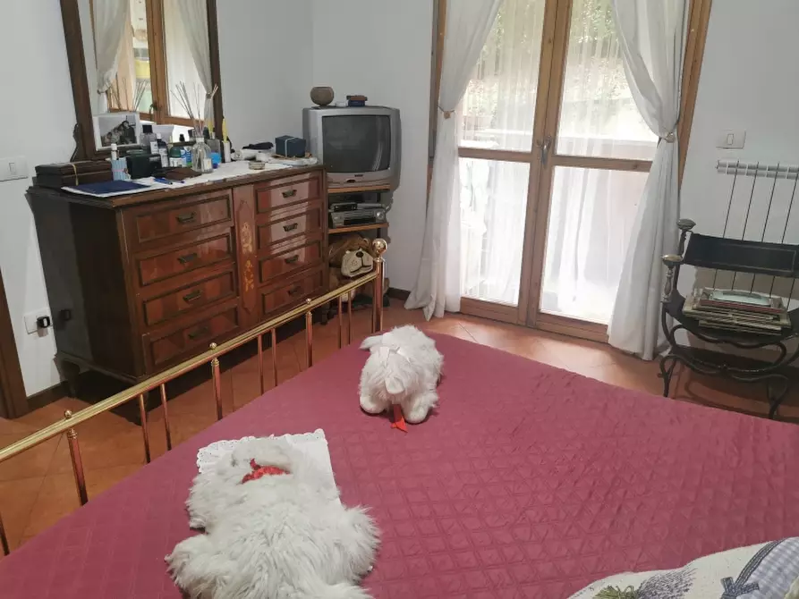 Immagine 5 di Appartamento in vendita  in VIA ROMA a Londa