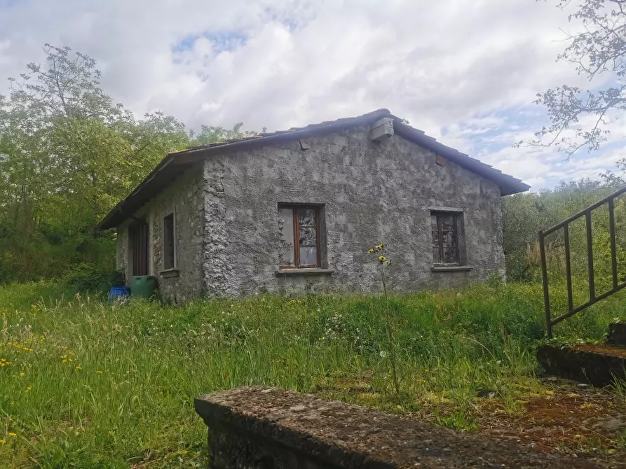 Immagine 3 di Casa colonica in vendita  in PIAZZA DANTE ALIGHIERI a Borgo San Lorenzo