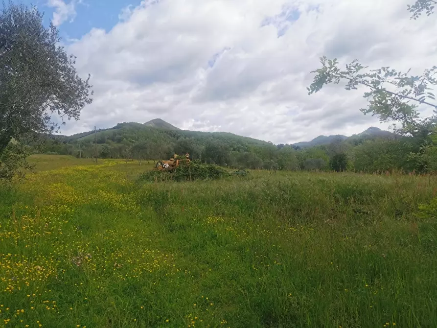 Immagine 4 di Casa colonica in vendita  in PIAZZA DANTE ALIGHIERI a Borgo San Lorenzo