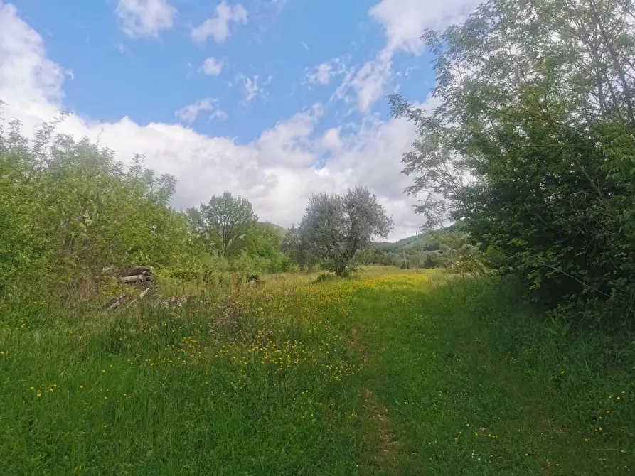 Immagine 5 di Casa colonica in vendita  in PIAZZA DANTE ALIGHIERI a Borgo San Lorenzo