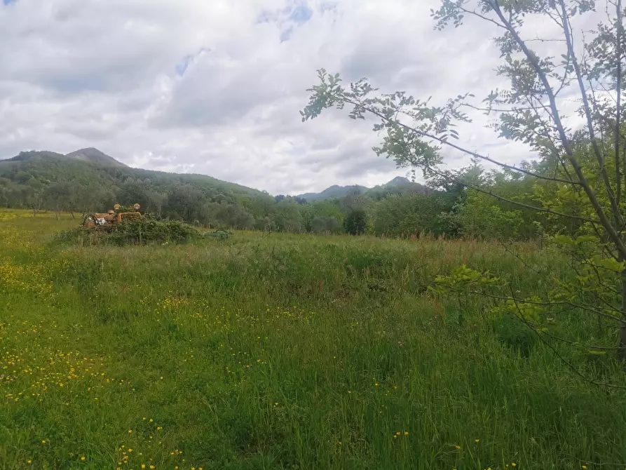 Immagine 6 di Casa colonica in vendita  in PIAZZA DANTE ALIGHIERI a Borgo San Lorenzo
