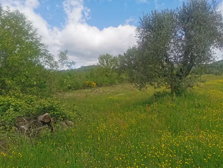 Immagine 7 di Casa colonica in vendita  in PIAZZA DANTE ALIGHIERI a Borgo San Lorenzo