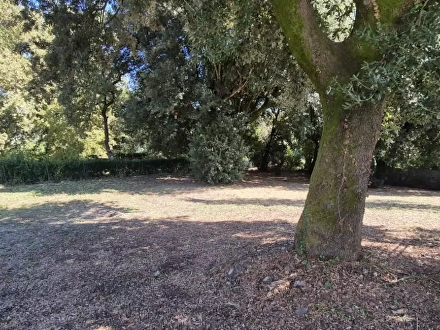 Immagine 11 di Appartamento in vendita  in PIAZZA DANTE ALIGHIERI a Borgo San Lorenzo