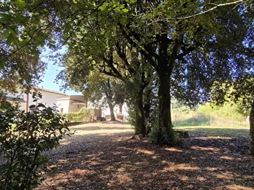 Immagine 14 di Appartamento in vendita  in PIAZZA DANTE ALIGHIERI a Borgo San Lorenzo