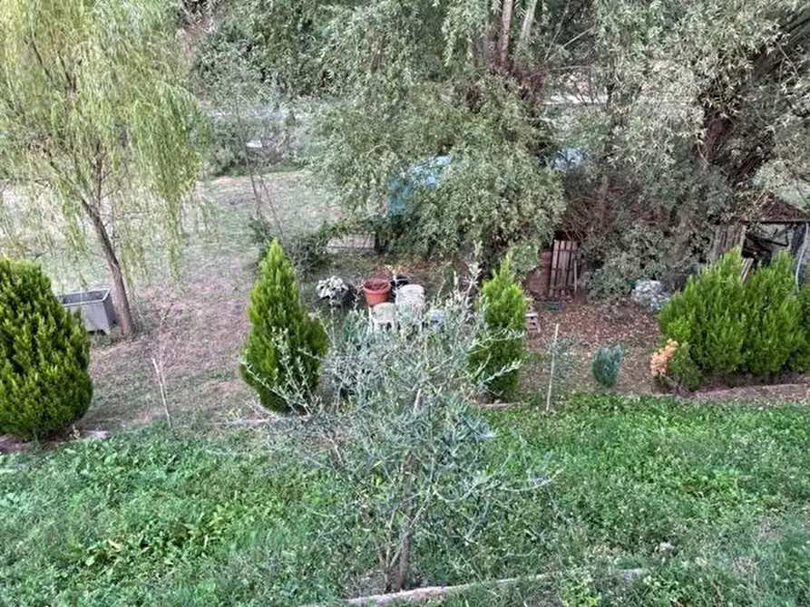 Immagine 18 di Rustico / casale in vendita  in PIAZZA DANTE ALIGHIERI a Vicchio