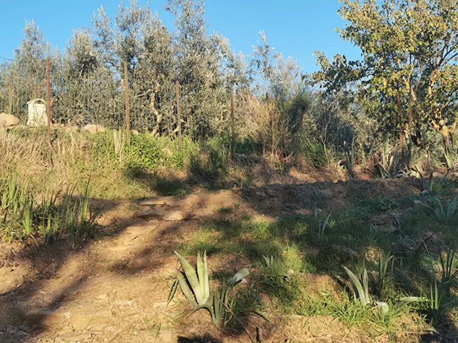 Immagine 2 di Casa colonica in vendita  in PIAZZA DANTE ALIGHIERI a Reggello