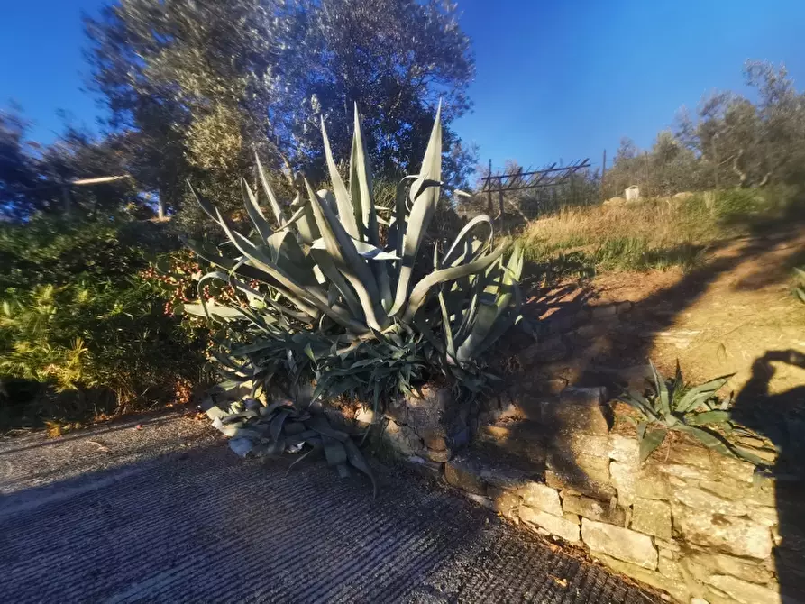 Immagine 3 di Casa colonica in vendita  in PIAZZA DANTE ALIGHIERI a Reggello