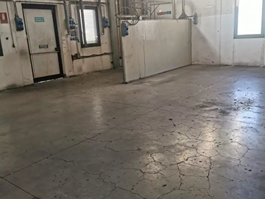 Immagine 5 di Capannone industriale in affitto  in VIA BARBERINESE a Barberino Di Mugello