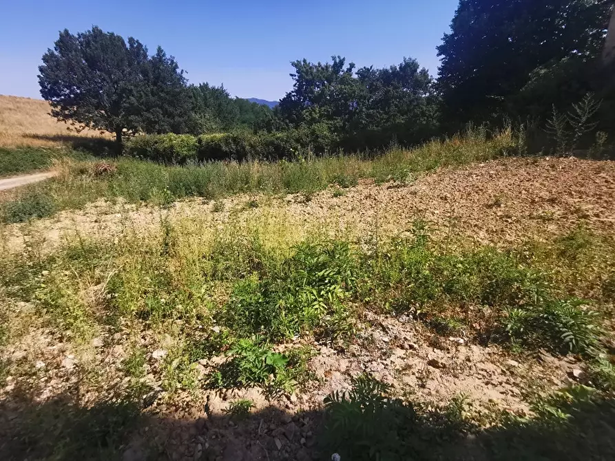 Immagine 13 di Rustico / casale in vendita  in PIAZZA DANTE ALIGHIERI a Scarperia E San Piero