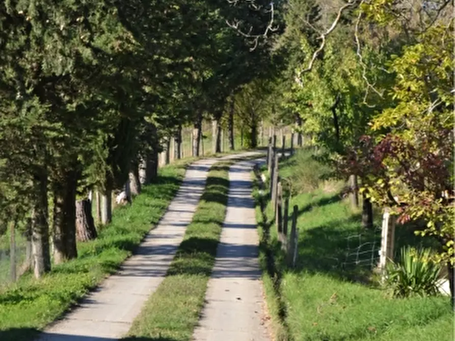 Immagine 3 di Agriturismo in vendita  a Borgo San Lorenzo