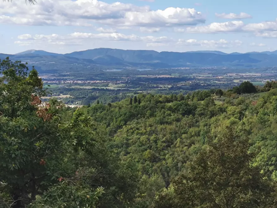 Immagine 3 di Casa colonica in vendita  in PIAZZA DANTE ALIGHIERI a Borgo San Lorenzo