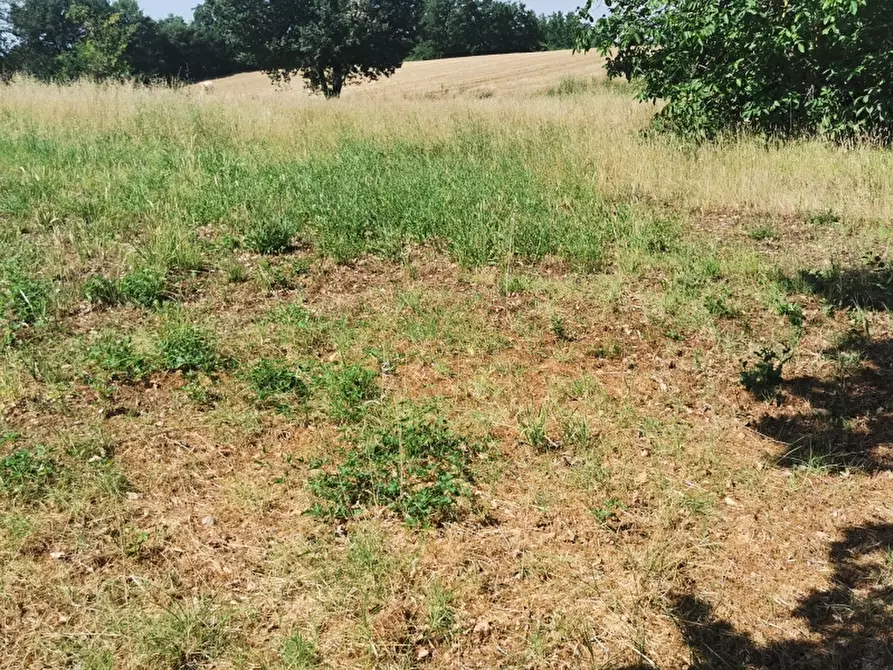 Immagine 3 di Rustico / casale in vendita  in PIAZZA DANTE ALIGHIERI a Scarperia E San Piero