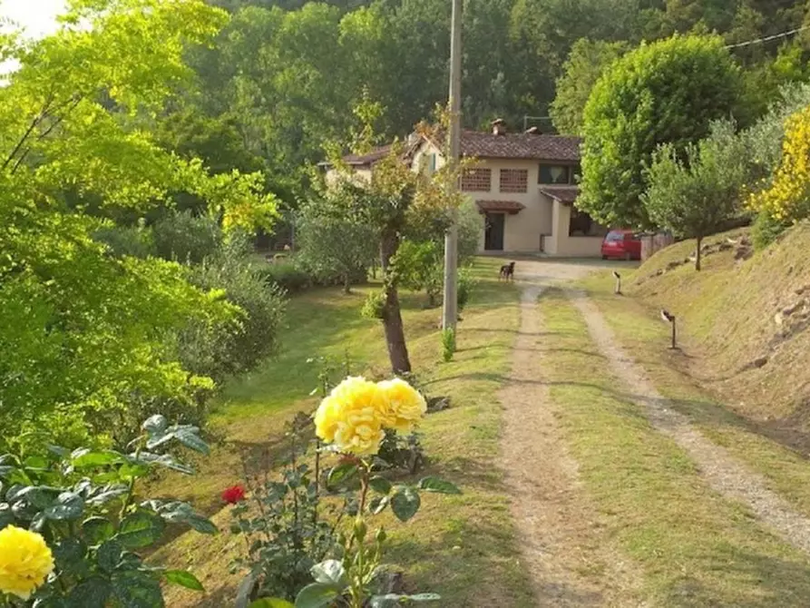 Immagine 6 di Casa colonica in vendita  in PIAZZA DANTE ALIGHIERI a Vicchio
