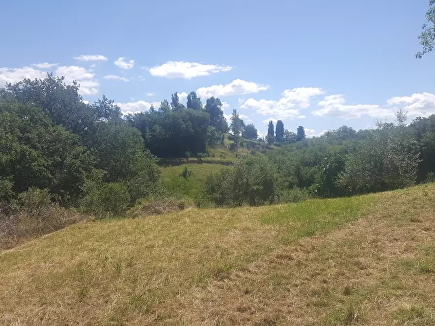 Immagine 4 di Casa colonica in vendita  a Borgo San Lorenzo