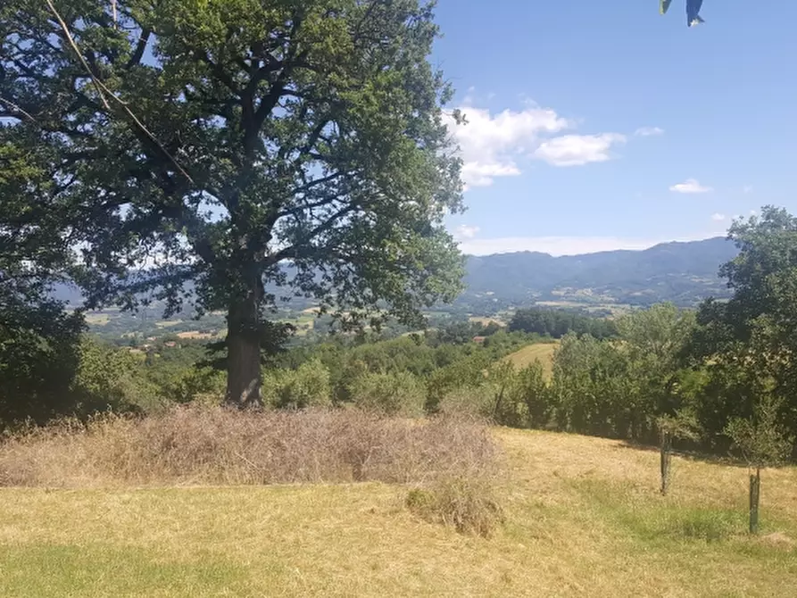 Immagine 5 di Casa colonica in vendita  a Borgo San Lorenzo