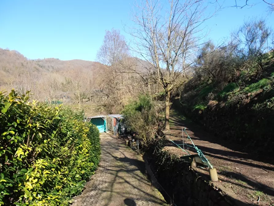 Immagine 7 di Terratetto in vendita  a Vicchio