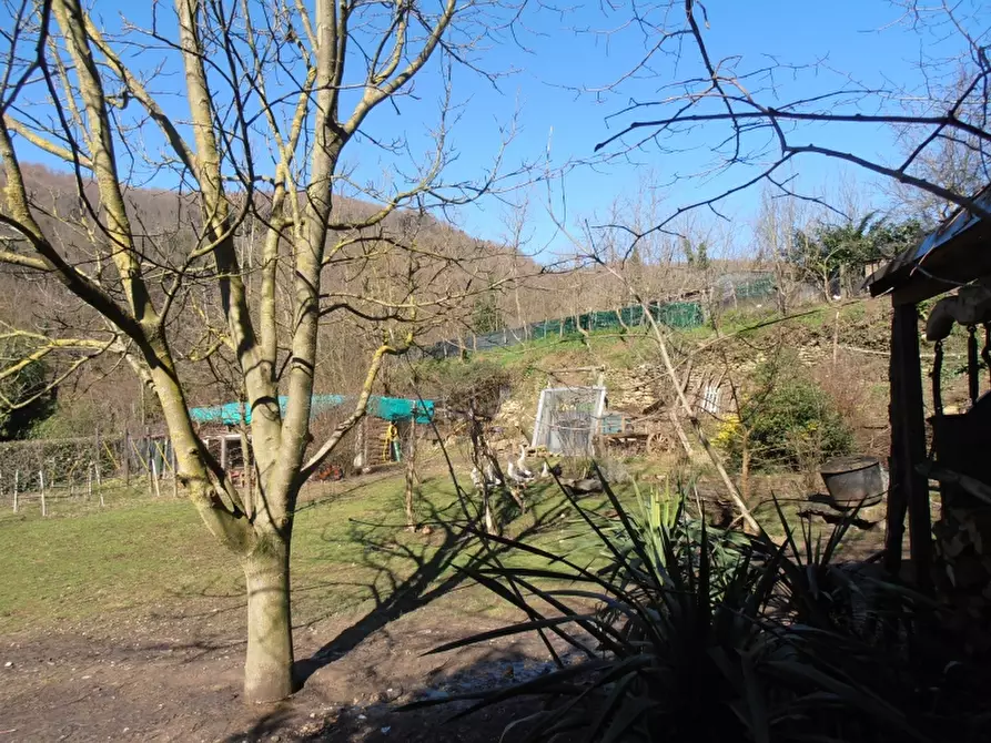 Immagine 8 di Terratetto in vendita  a Vicchio