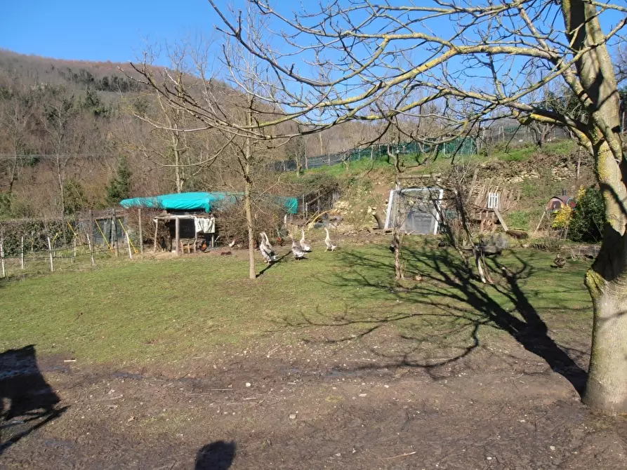 Immagine 9 di Terratetto in vendita  a Vicchio