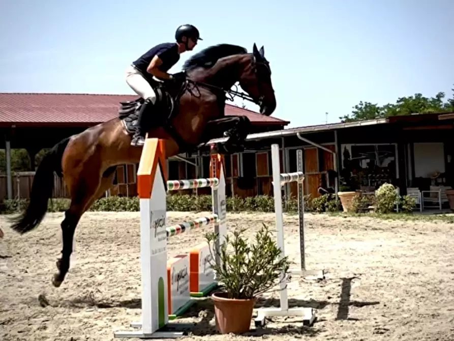 Immagine 3 di Villa in vendita  in PIAZZA DANTE ALIGHIERI a Borgo San Lorenzo